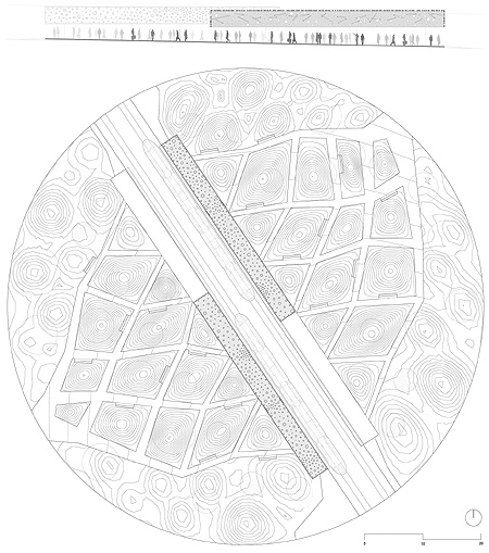 Planta y seccin/Floor plan and section