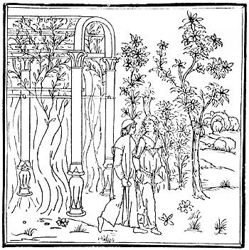 Grabado de Hypnerotomachia Poliphili (El sueño de Polifilo), de F.Colonna, Venecia, 1.499, obra en donde se describe una pérgola cuyas ramas de limoneros naranjos y cidros se curvaban a modo  de bóveda...  //  7. An engraving from F. Colonna's Hypnerotomachia Poliphili, Venice, 1499. This book describes a pergola where branches of lemon, orange and citron trees curve over to form a vault...