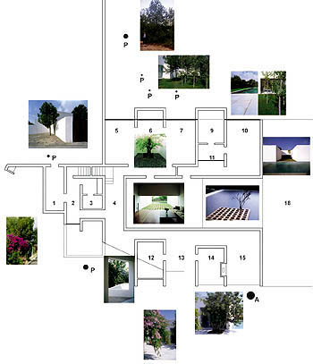 Itinerario de los jardines. Planta principal/Itinerary. Through the gardens. Main floor