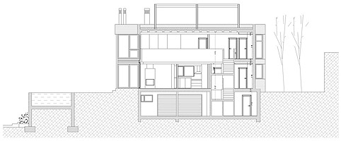 Seccin longitudinal/Longitudinal section